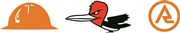 CCNA CONS logo